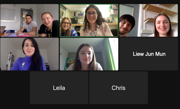 Eight screenshotted zoom panels showing 8 YNHLN members smiling at the webcam